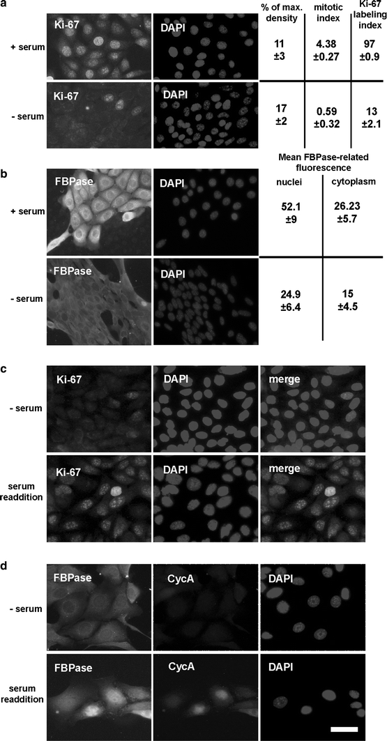 Fig. 8