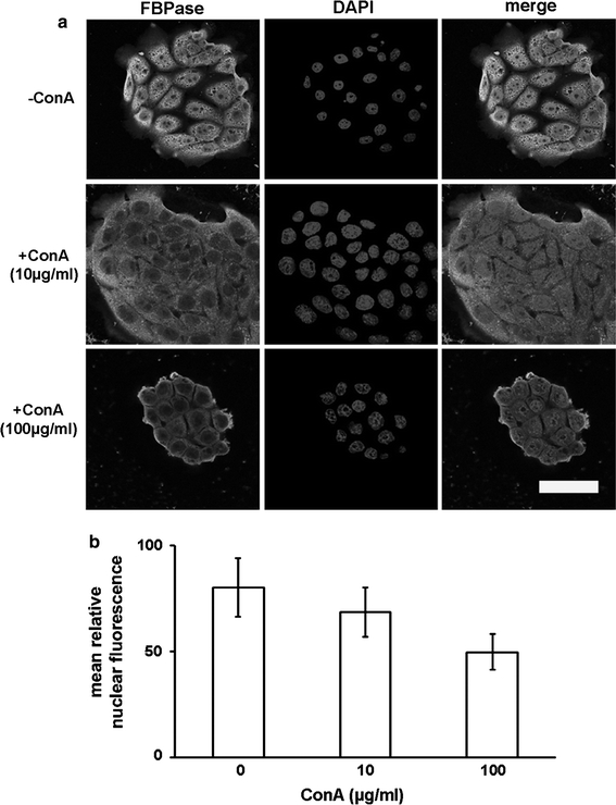 Fig. 10