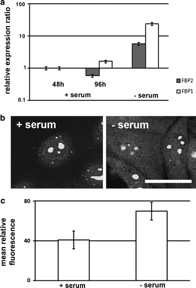 Fig. 6