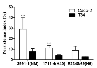 Fig. (4)