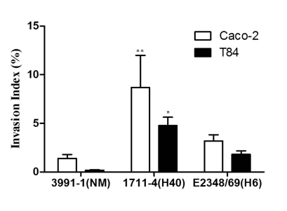 Fig. (2)