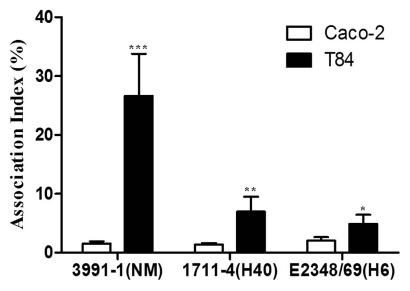 Fig. (1)