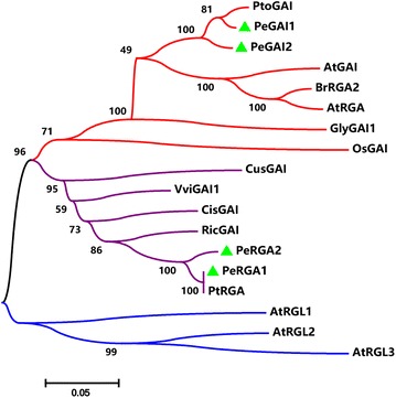 Fig. 2