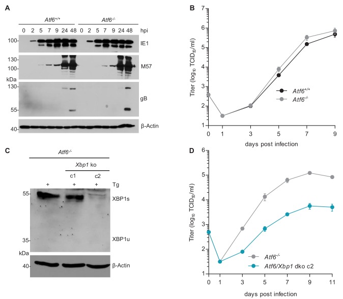 Figure 6.