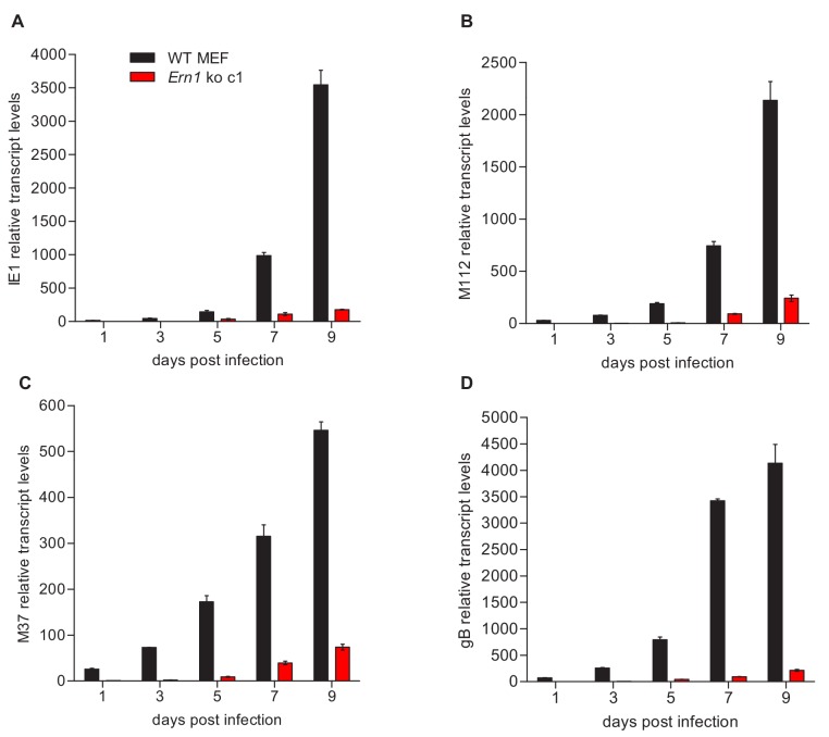 Figure 3—figure supplement 1.