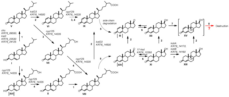 Figure 6