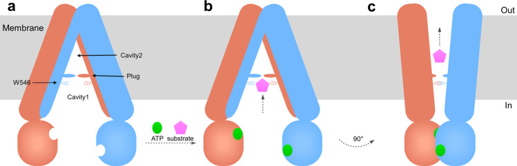 Fig. 5