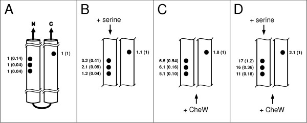 Figure 8