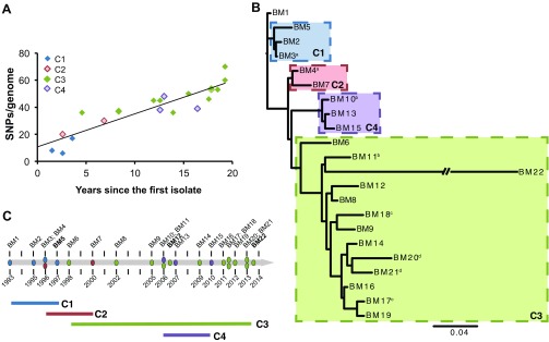 FIG 1 