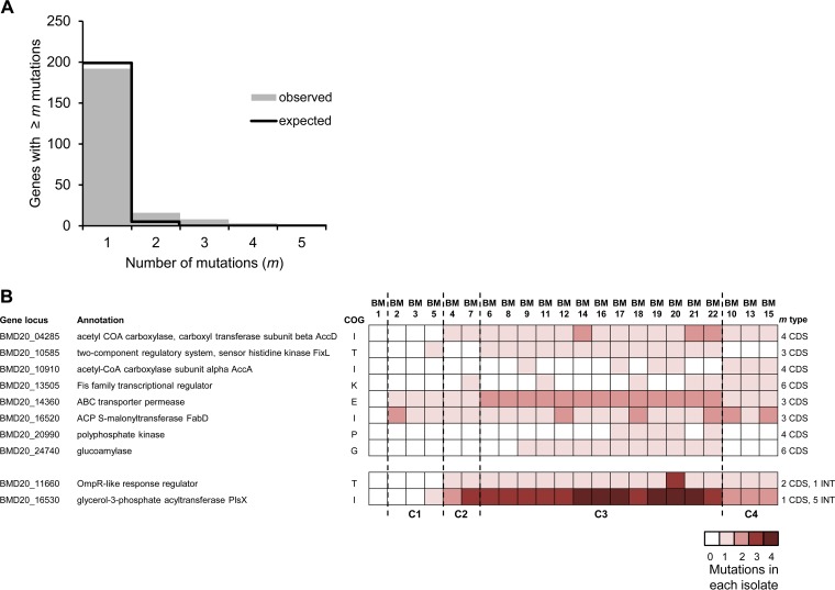 FIG 3 