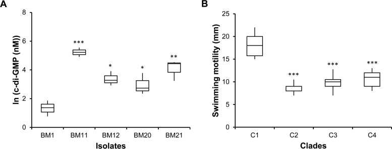 FIG 6 