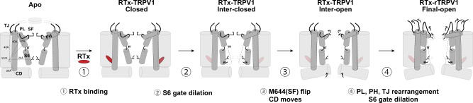 Fig. 7