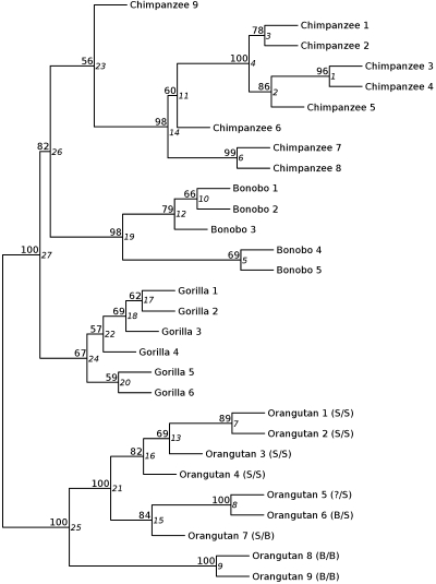 Figure 3.