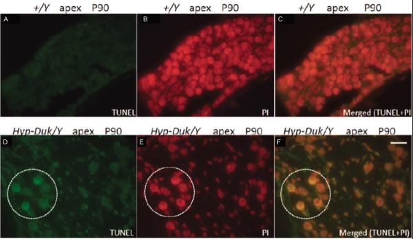 Figure 10