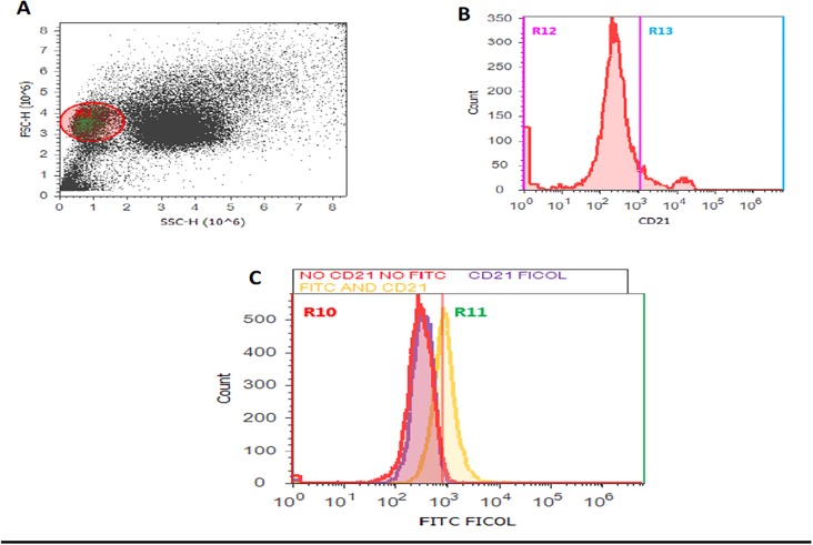 Fig 6