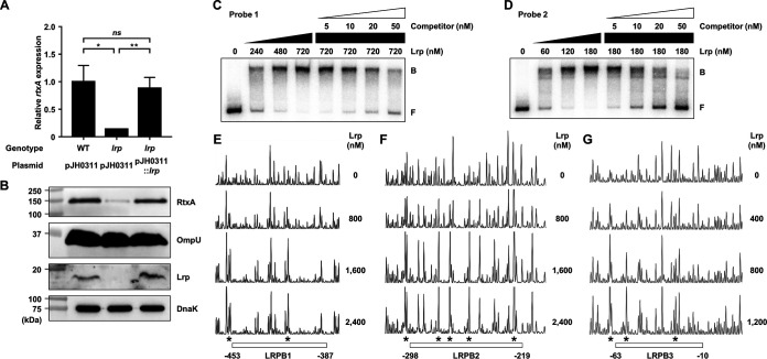 FIG 2