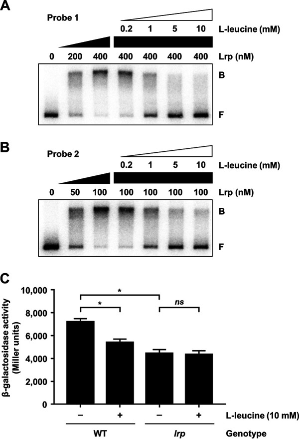 FIG 4