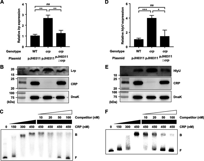 FIG 8