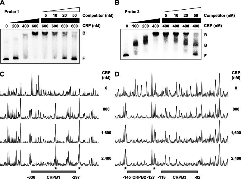 FIG 6