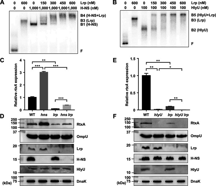 FIG 3