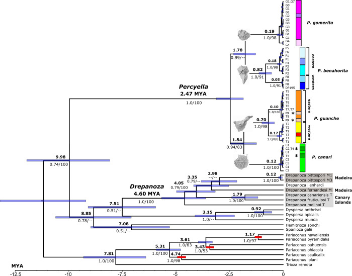 Fig 2