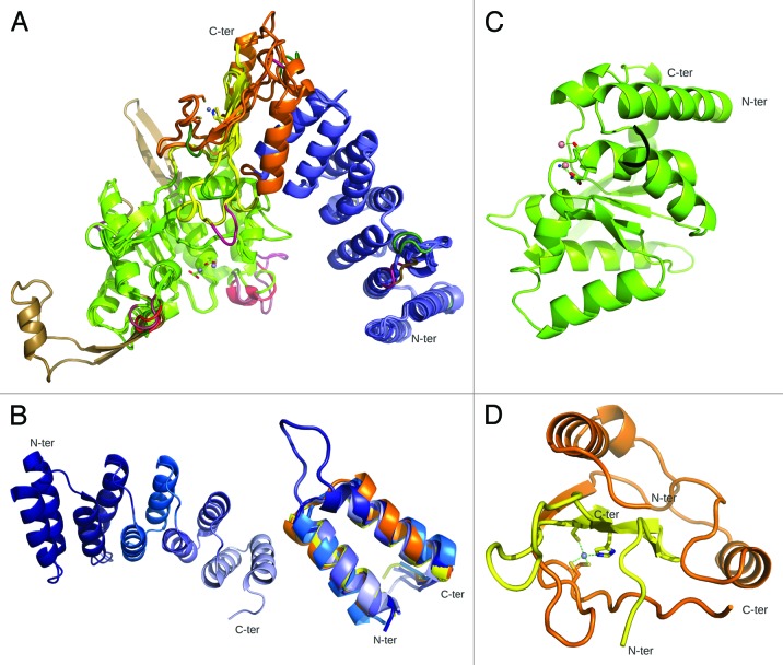 graphic file with name rna-10-1457-g3.jpg