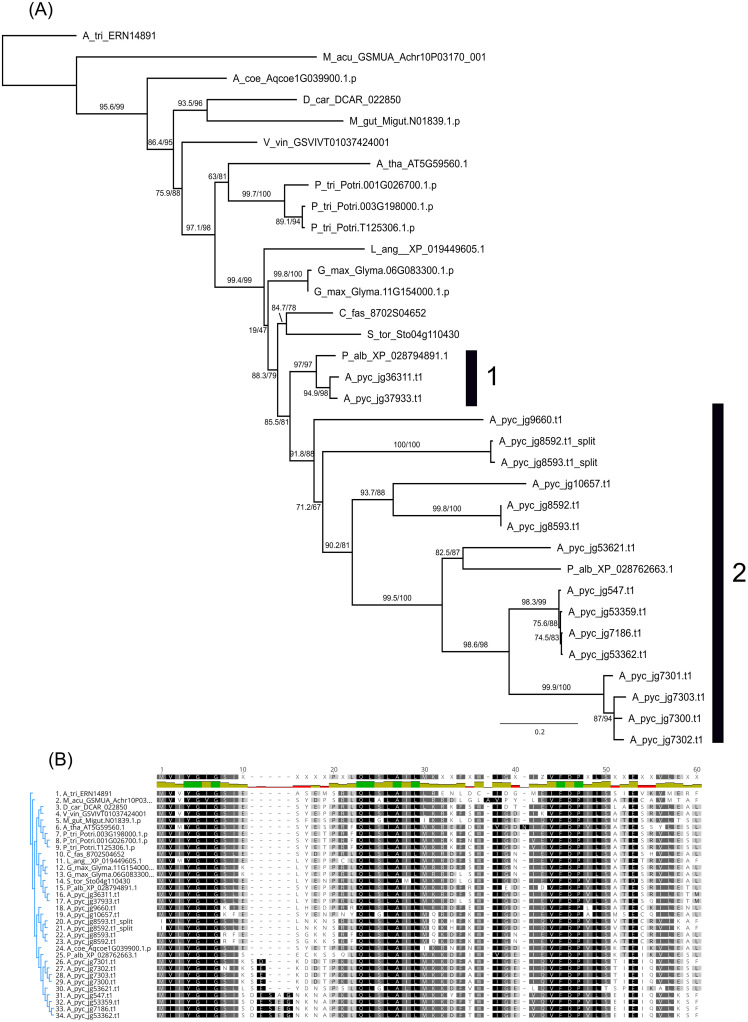 Fig 6