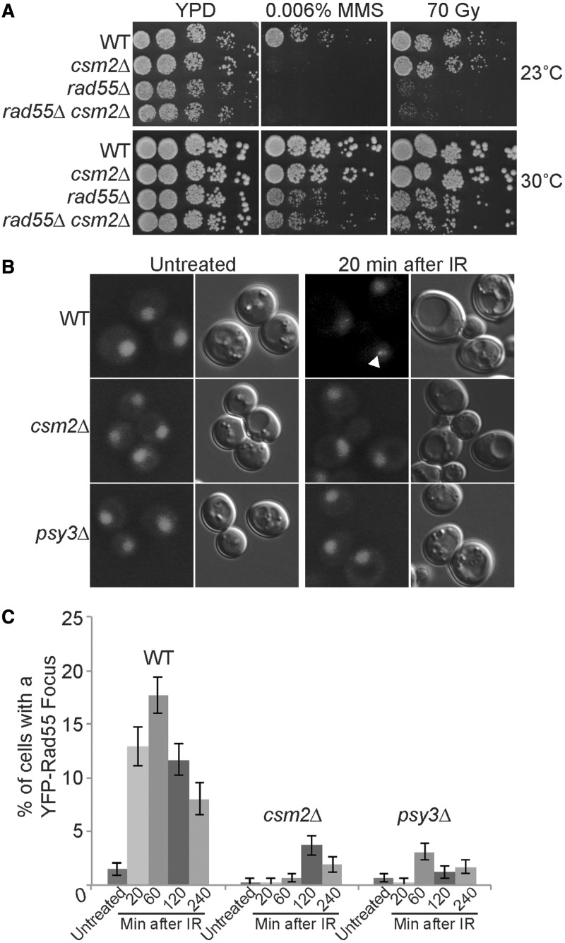 Figure 3.