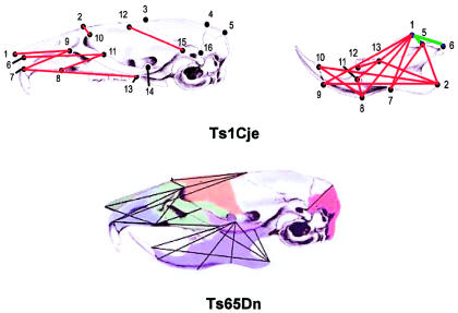 Figure  16