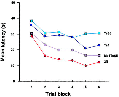 Figure  15