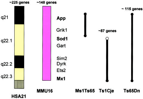 Figure  14