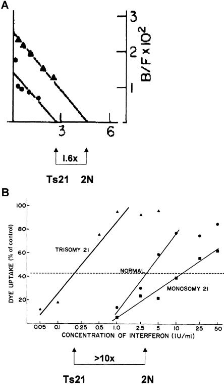 Figure  6