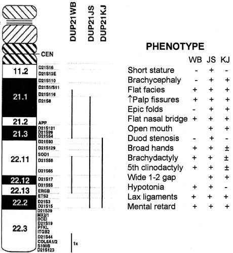 Figure  9