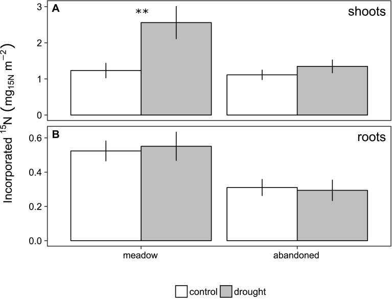 Figure 5