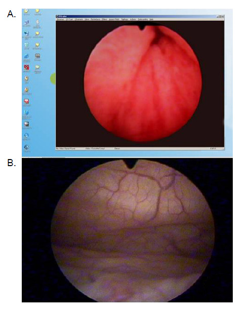 Fig. 3.