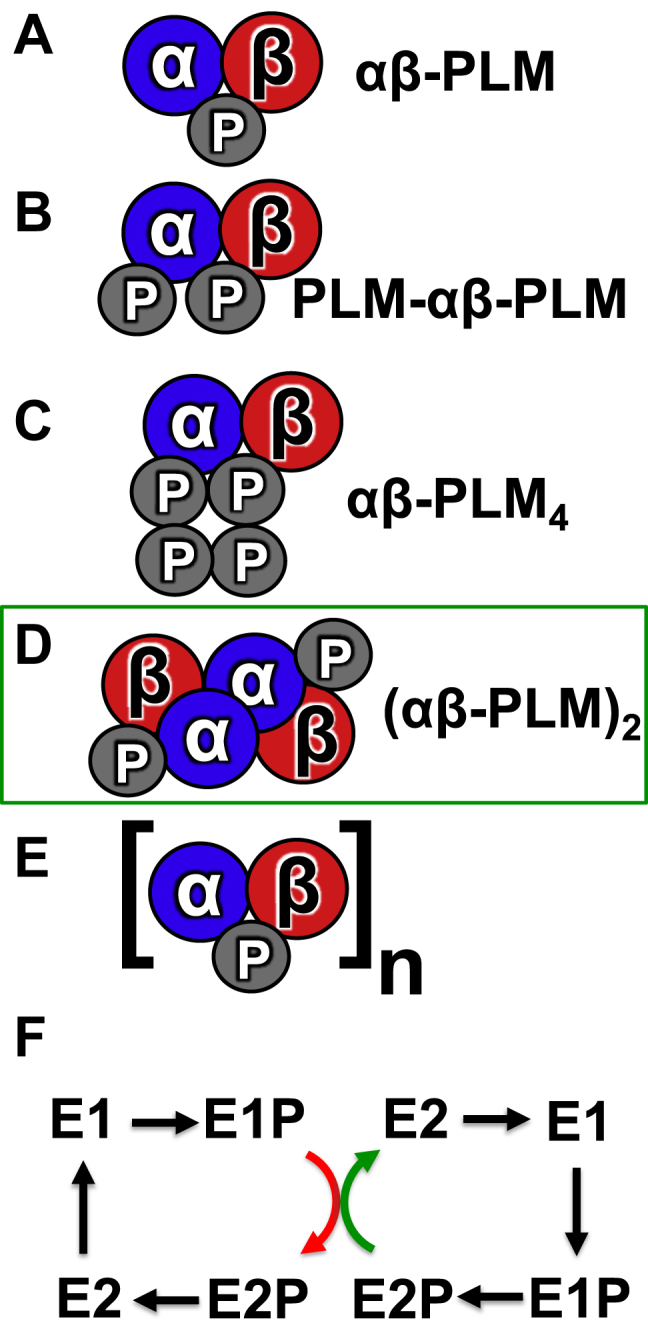 Figure 7