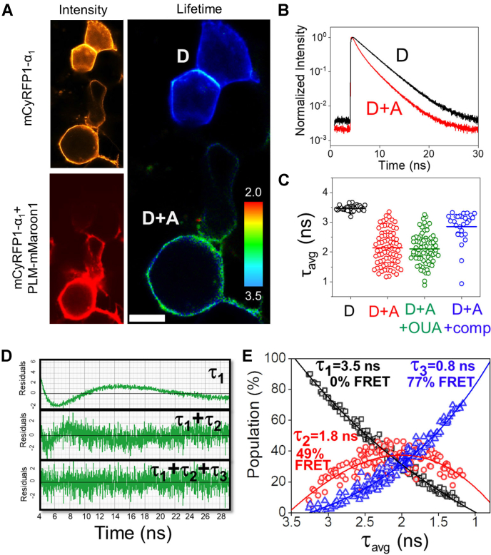 Figure 2