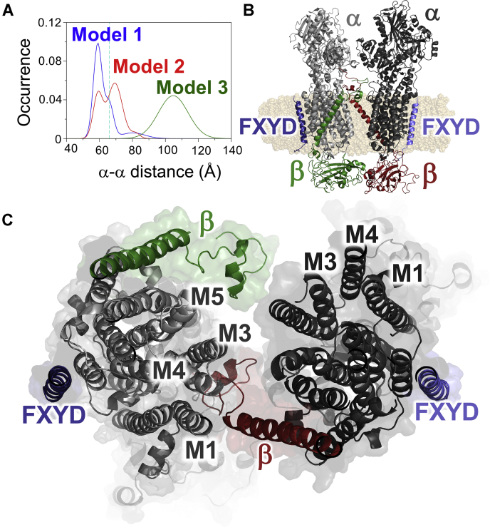 Figure 6