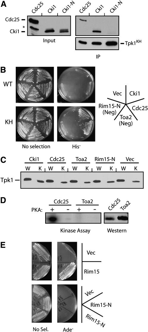 Figure 2.—