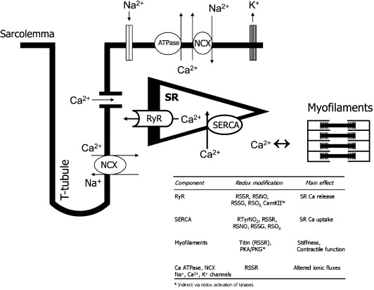 Fig. 3