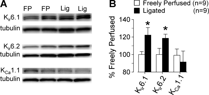 Fig. 5.