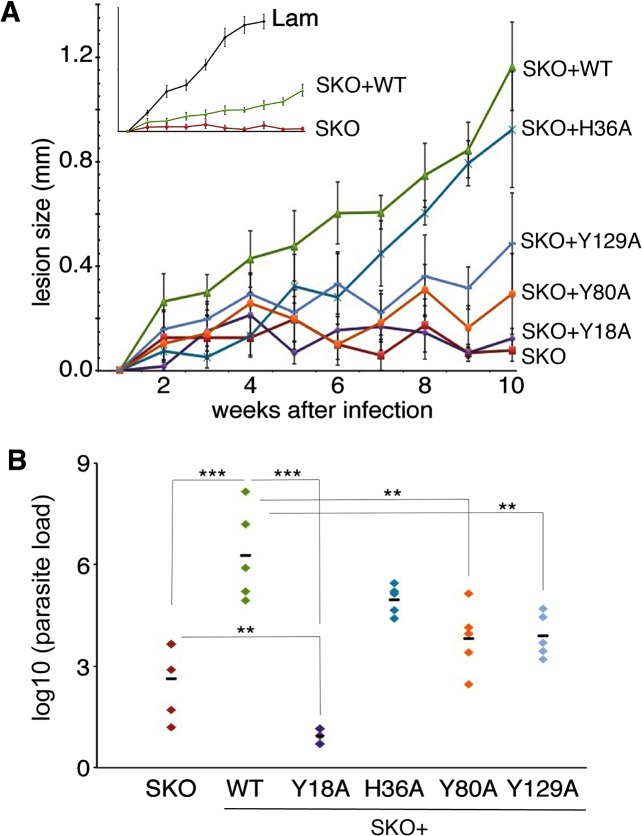 Fig 6