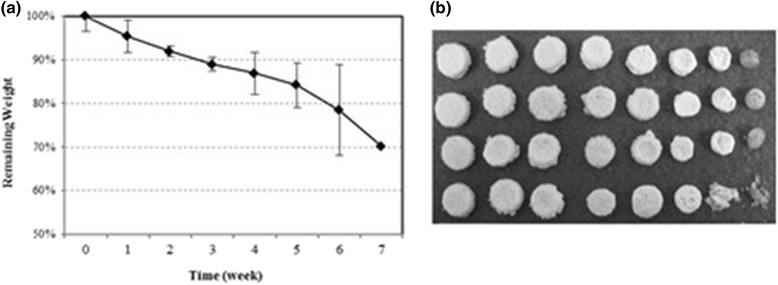 Fig. 8