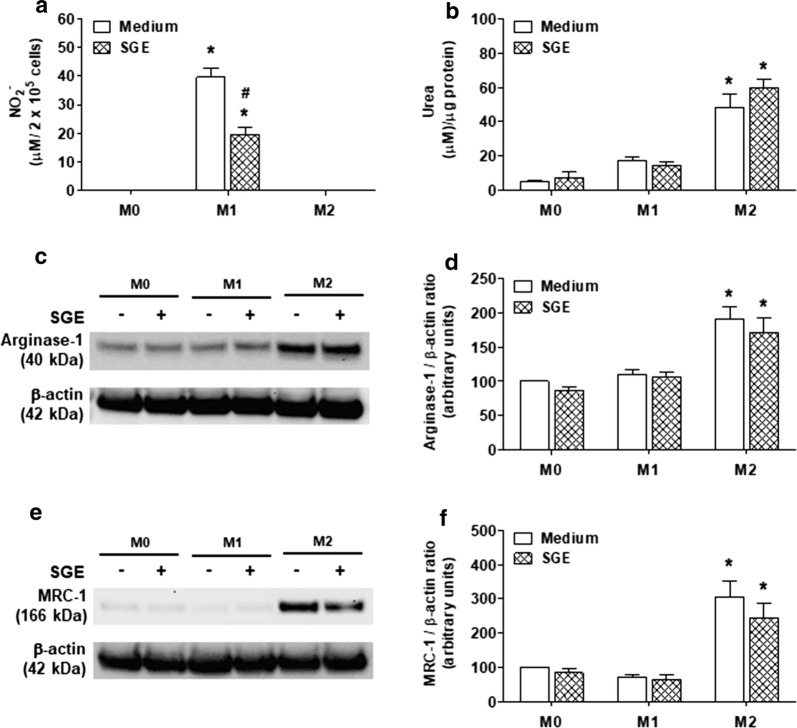 Fig. 6