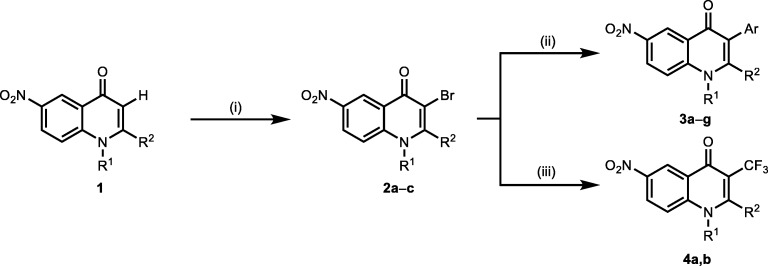 Scheme 3