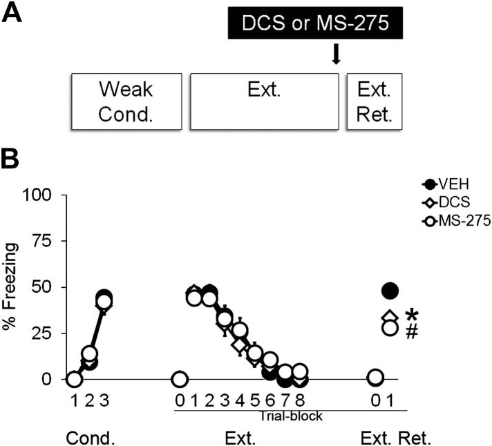 Fig. 7