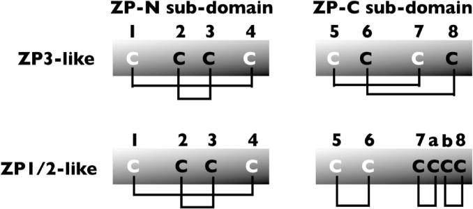 Figure 1b