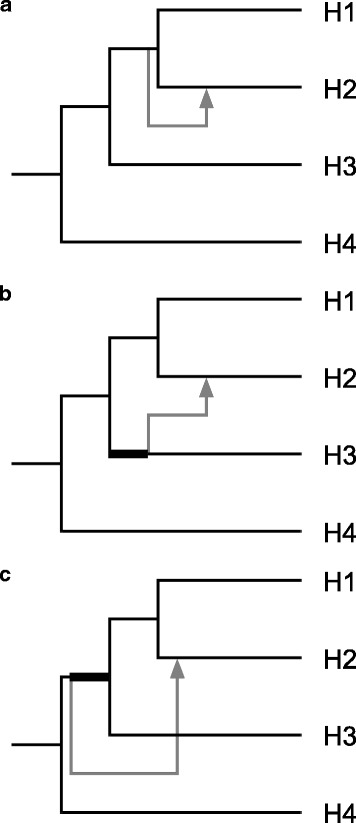 Fig. 13