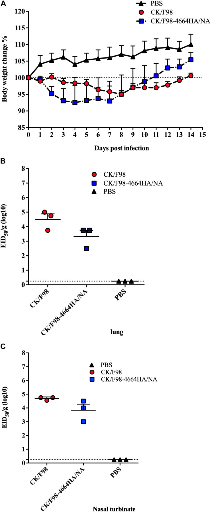 FIGURE 3