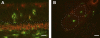 <b>Figure 3.</b>